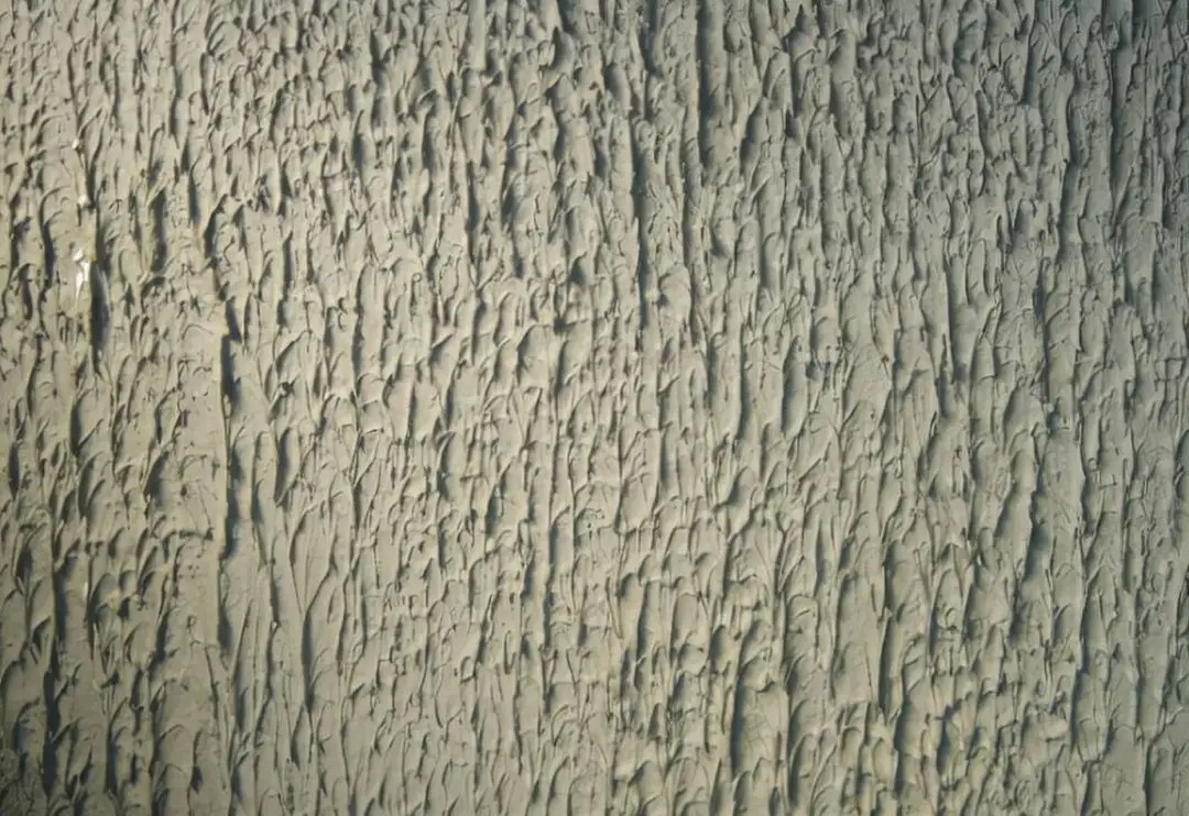 拉毛4.jpg 拉毛4.jpg