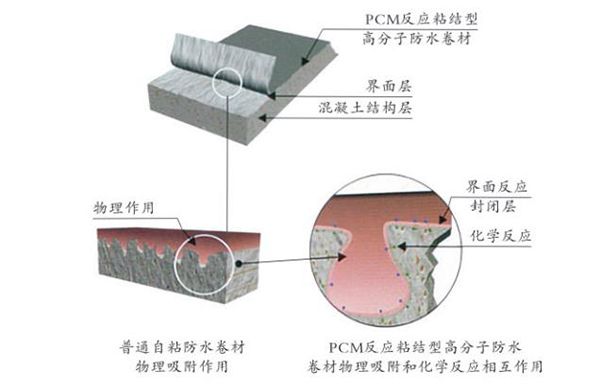 pcm反應(yīng)粘卷材與結(jié)構(gòu)層的粘接原理 佛山防水
