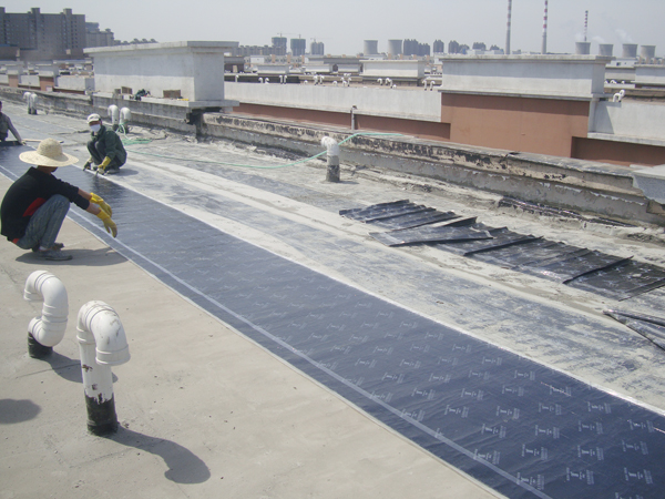 工人們正在預鋪卷材 防水卷材