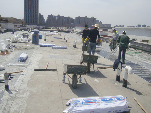 工人們撕開卷材保護膜 防水卷材