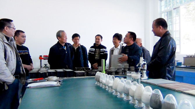 專家考察團(tuán)參觀考察廣西青龍實(shí)驗室